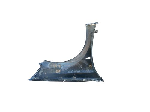 Left front fenders RENAULT MEGANE II Coupé-Cabriolet (EM0/1_)  | BP25844916C41 