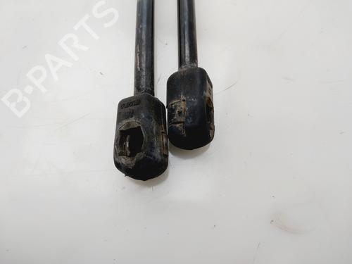 Tailgate lift support CITROËN C4 I (LC_) | BP31070186C138