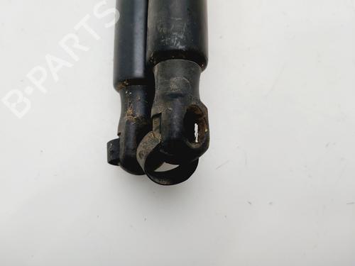 Gassdemper Bakluke VW GOLF V (1K1)  | BP30054637C138