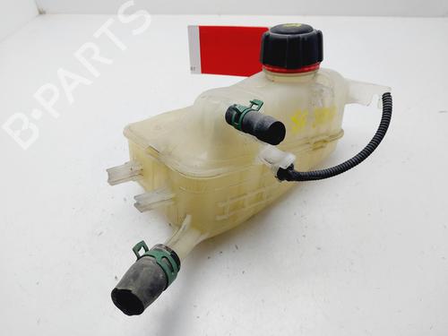 Expansion tank RENAULT SCÉNIC III (JZ0/1_) 1.2 TCe (JZ16) | BP29596839C120 