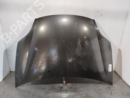 Used Hood Hood FIAT BRAVO II (198_) 1.9 D Multijet (198AXB1A) (120 hp) 36514619 36514619