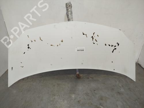 Used Hood RENAULT KANGOO Express (FW0/1_) [2008-2026]  31265403