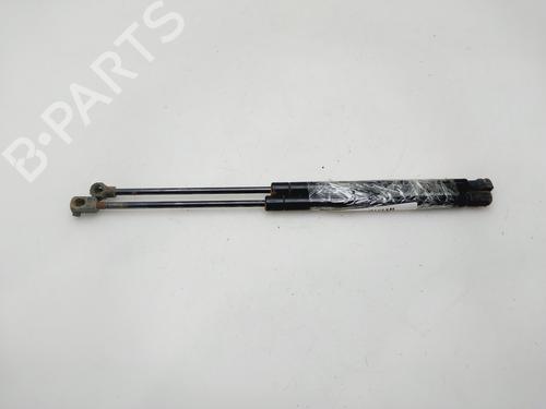 Vérin de coffre/hayon DACIA SANDERO II [2012-2025]  30054666