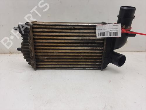 Intercooler CITROËN JUMPER I Van (244) 2.8 HDi | BP17621620M30 