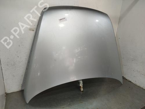 Hood VW TOUAREG (7LA, 7L6, 7L7)  | BP25297352C1 