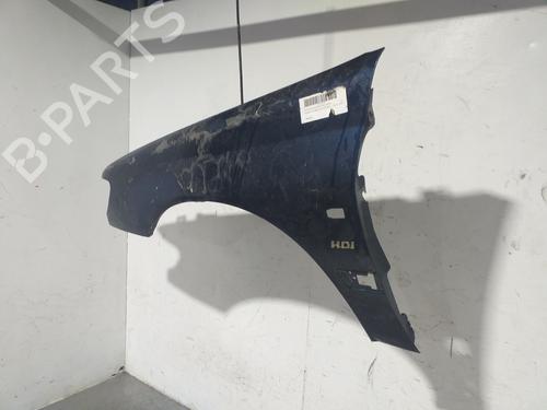 Left front fenders PEUGEOT 406 (8B) 2.0 HDI 90 | BP9906674C41 