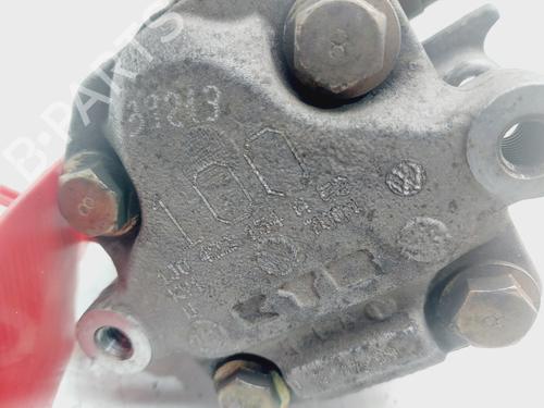 Steering pump VW GOLF IV (1J1) 1.9 TDI | BP29875033M99