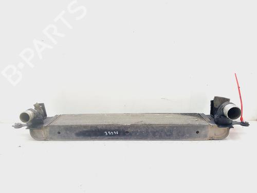 Intercooler RENAULT KOLEOS I (HY_) 2.0 dCi (HY0K) | BP20329817M30 