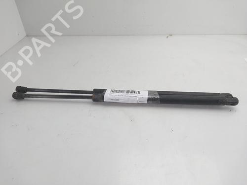 Used Tailgate lift support Tailgate lift support SSANGYONG ACTYON I [2005-2026] 34343632 34343632