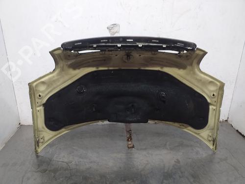 Hood AUDI A2 (8Z0) 1.4 TDI | BP21682213C1 