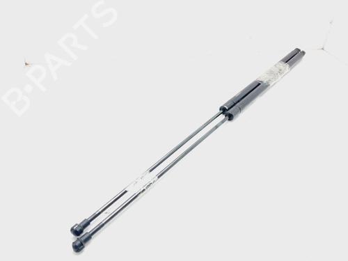 Tailgate lift support SEAT TOLEDO III (5P2)  | BP19409060C138 