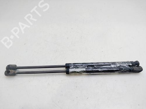 Tailgate lift support CHEVROLET AVEO / KALOS Hatchback (T200) 1.4 16V | BP23648747C138 