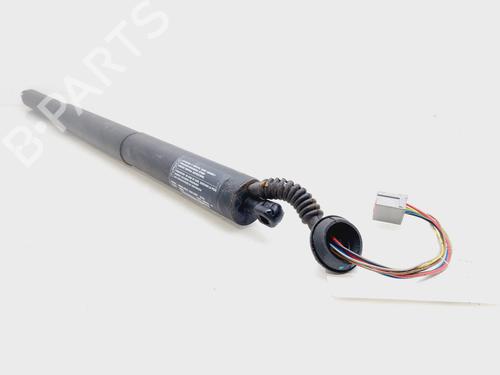 Tailgate lift support FORD KUGA III (DFK)  | BP29719385C138 