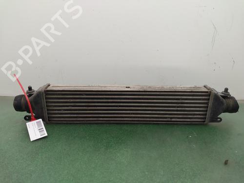 Used Intercooler Intercooler FIAT DOBLO Platform/Chassis (263_) 1.3 D Multijet (75 hp) 35786633 35786633
