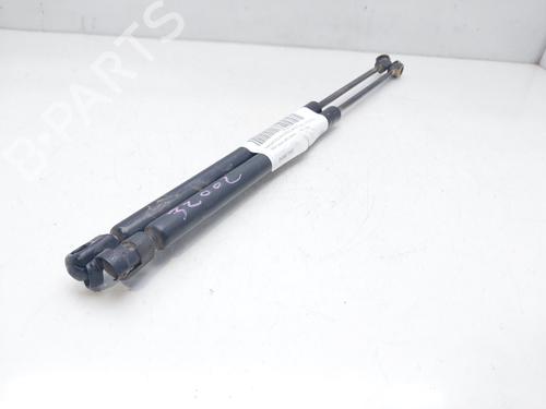 Tailgate lift support SEAT IBIZA II (6K1) 1.9 D | BP14934538C138