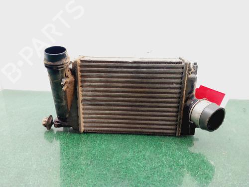Intercooler NISSAN QASHQAI II (J11, J11_) [2013-2026]  32256211