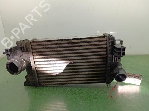 Intercooler Intercooler OPEL MERIVA B MPV (S10) [2010-2017] 36404720 36404720