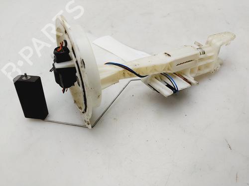 Fuel pump AUDI Q3 (8UB, 8UG)  | BP29810620M76 