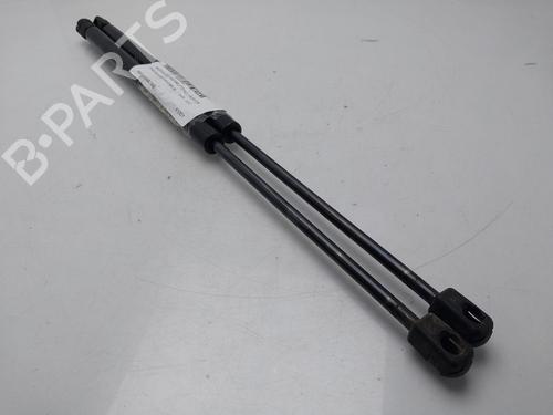 Tailgate lift support FORD FOCUS II (DA_, HCP, DP)  | BP32410335C138 