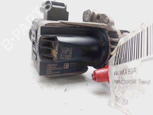 Egr FORD ECOSPORT 1.5 EcoBlue TDCi | BP19419353M69 