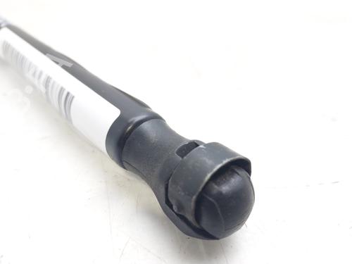 Hood lift support VW PASSAT B6 (3C2)  | BP18037444C139 