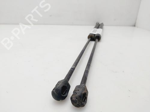 Tailgate lift support FORD KUGA I  | BP19525094C138 