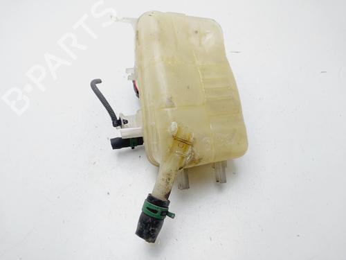Expansion tank RENAULT SCÉNIC III (JZ0/1_) 1.2 TCe (JZ16) | BP29596839C120 