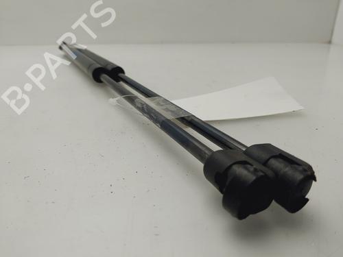 Tailgate lift support SEAT IBIZA III (6L1)  | BP24368477C138 