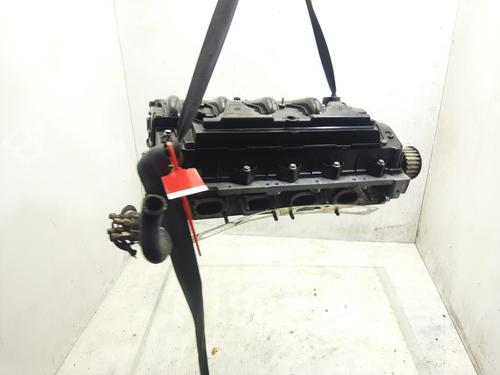 Cylinder head RENAULT LAGUNA II (BG0/1_)  | BP29375843M5 