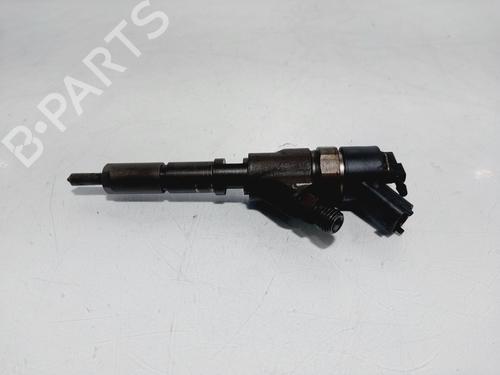Injector PEUGEOT 206 Hatchback (2A/C) 2.0 HDI 90 | BP29446033M100 