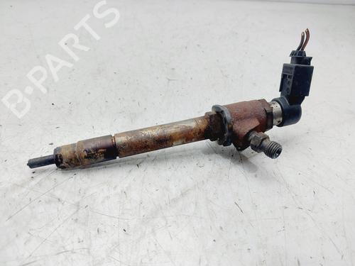 Used Injector JAGUAR XF I (X250) 2.7 D (207 hp) 29019271