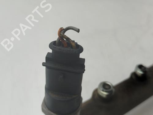 Injection rail RENAULT KANGOO (KC0/1_) 1.9 dCi 4x4 | BP32389598M98