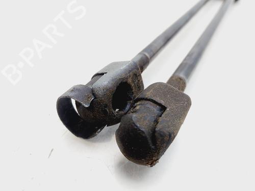 Tailgate lift support FORD FIESTA VI (CB1, CCN)  | BP26519050C138 