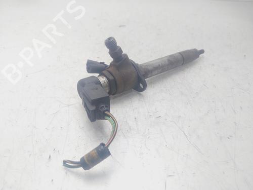 Injector LAND ROVER RANGE ROVER SPORT I (L320)  | BP29452495M100 