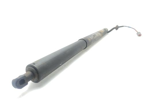 Tailgate lift support FORD KUGA II (DM2)  | BP29810735C138