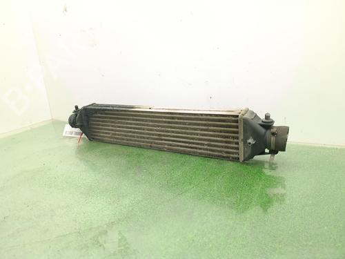 Intercooler FIAT DOBLO Cargo (263_) 1.6 D Multijet (263WXD1B, 263WXR1B, 263WXX1B, 263ZXD1B,... | BP38625515M30 - Image 3