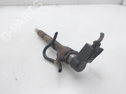 Injector RENAULT MEGANE II Saloon (LM0/1_)  | BP17710786M100 