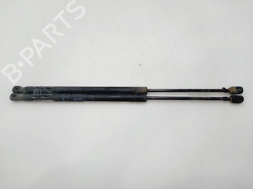 Used Tailgate lift support RENAULT GRAND SCÉNIC II (JM0/1_) 1.5 dCi (103 hp) 30476693