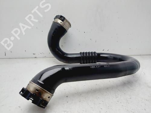 Pipe RENAULT MEGANE III Hatchback (BZ0/1_, B3_) 1.2 TCe (BZ2B, BZ11) | BP29078452M125 
