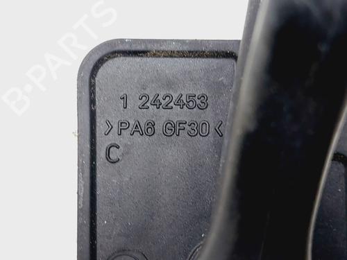 Portiergreep binnen rechts achter PEUGEOT BIPPER (AA_) | BP30695405I16