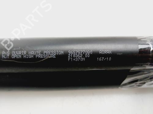 Tailgate lift support CITROËN XSARA PICASSO (N68) 1.6 HDi | BP29982161C138