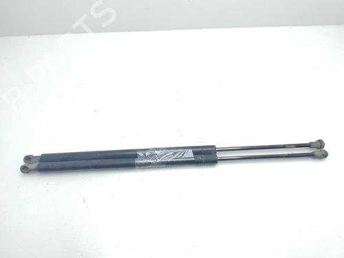 Gassdemper Bakluke BMW X5 (E53) 3.0 d (184 hp) 22435510