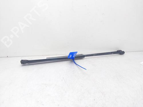 Tailgate lift support LAND ROVER RANGE ROVER SPORT I (L320) 3.6 D 4x4 | BP14008738C138 