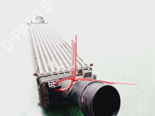 Intercooler SKODA FABIA I (6Y2)  | BP29620008M30 