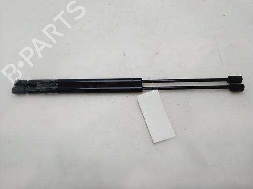 tailgate-lift-support-renault-scenic-ii-jm01_-2003-2004-2005-2006-2007-2008-2009-2010-31798908 main image