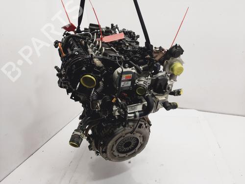 Engine KIA RIO IV (YB, SC, FB)  | BP20095599M1  - Image 5