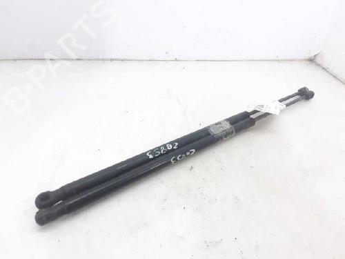 Used Tailgate lift support FORD FIESTA V (JH_, JD_) 1.4 TDCi (68 hp) 13996292