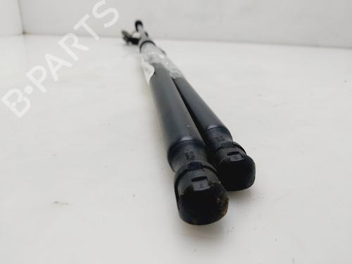 Tailgate lift support FORD FIESTA VI (CB1, CCN)  | BP24800604C138 