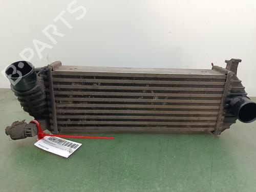 Intercooler Intercooler RENAULT KANGOO Express (FW0/1_) [2008-2026] 34342203 34342203