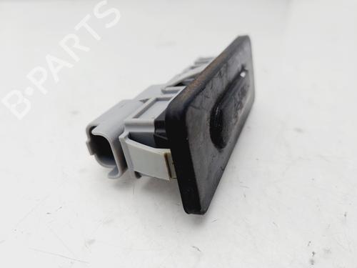Tailgate handle DACIA SANDERO III  | BP23082534C132 